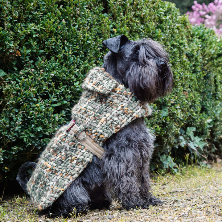 CHANEL - Dog coats - dog clothes - designer dog clothes