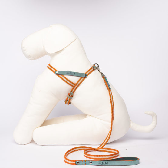 1 pezzo Elegante portasacchetto per cacca di cane con attacco al guinzaglio  (guinzaglio e sacchetto per cacca non inclusi)